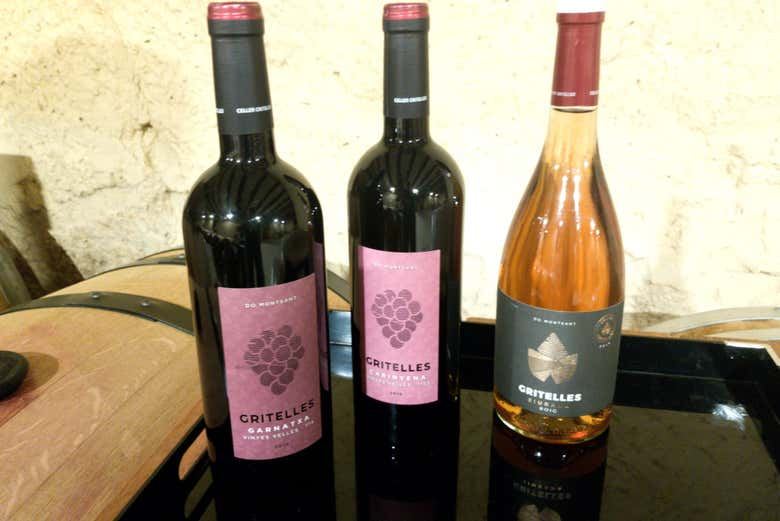 Priorat Day Trip from Salou to Celler Gritelles: Winery Tour and Four-Wine Tasting (5/5)