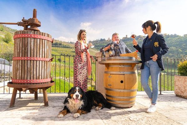 Valpolicella Amarone Day from Verona: Two Boutique Wineries, Limited-Edition Wines, Lunch