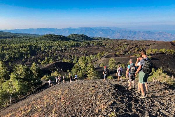Private Etna Tour: Silvestri Craters, Honey Producer and Four Wines at Gambino Vini