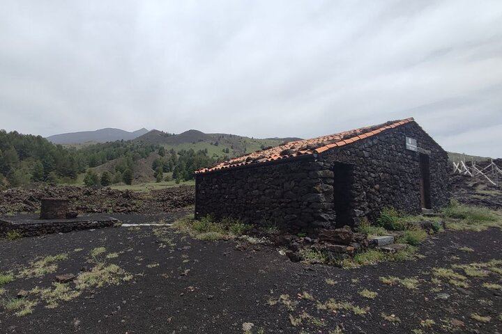 Private Etna Tour: Silvestri Craters, Honey Producer and Four Wines at Gambino Vini (1/11)