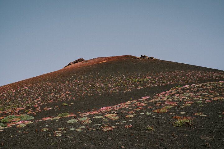 Private Etna Tour: Silvestri Craters, Honey Producer and Four Wines at Gambino Vini (10/11)