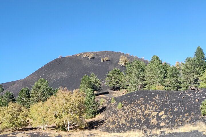 Private Etna Tour: Silvestri Craters, Honey Producer and Four Wines at Gambino Vini (6/11)
