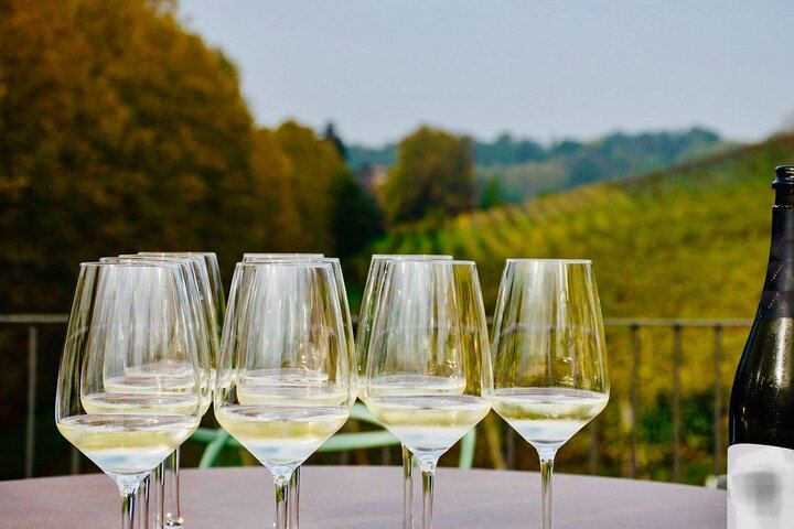 Private Etna Tour: Silvestri Craters, Honey Producer and Four Wines at Gambino Vini (7/11)