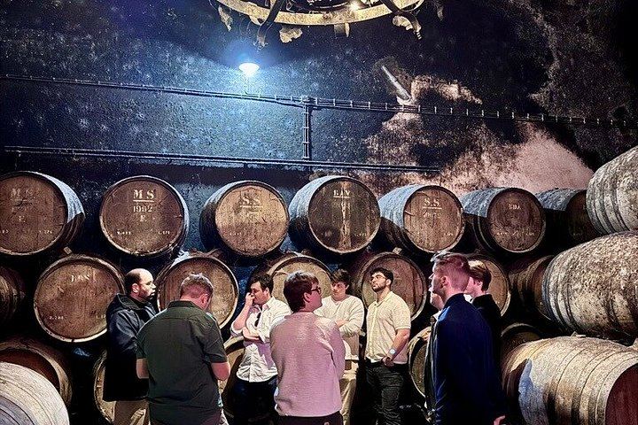 Private Arrábida Tour from Lisbon: Livramento Market, Tiles and Wine Among Animals (10/12)