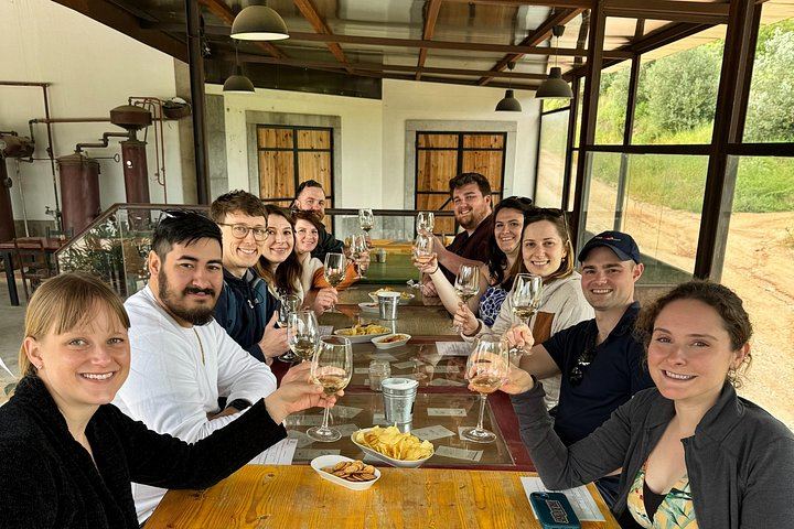 Private Arrábida Tour from Lisbon: Livramento Market, Tiles and Wine Among Animals (11/12)