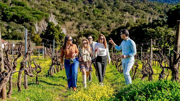 Private Arrábida Tour from Lisbon: Livramento Market, Tiles and Wine Among Animals (2/12)