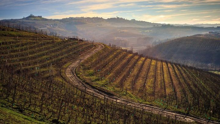 Langaround Tailor-Made Piedmont Wine Day: Barolo, Barbaresco, Barbera and Dolcetto (1/12)