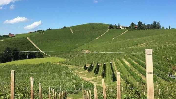 Langaround Tailor-Made Piedmont Wine Day: Barolo, Barbaresco, Barbera and Dolcetto (2/12)