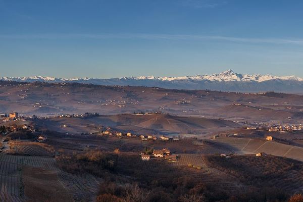 Langaround Tailor-Made Piedmont Wine Day: Barolo, Barbaresco, Barbera and Dolcetto