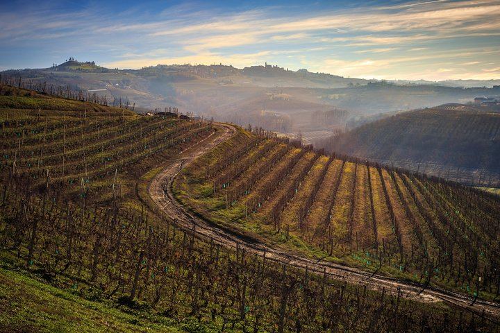 Langaround Tailor-Made Piedmont Wine Day: Barolo, Barbaresco, Barbera and Dolcetto (1/12)