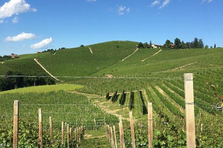 Langaround Tailor-Made Piedmont Wine Day: Barolo, Barbaresco, Barbera and Dolcetto (2/12)