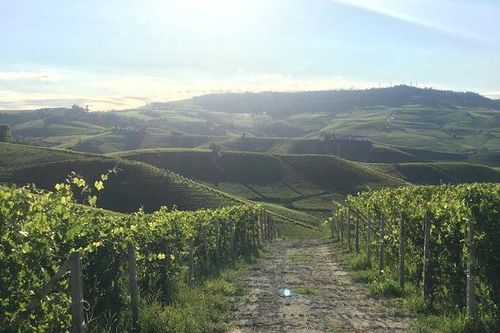 Langaround Tailor-Made Piedmont Wine Day: Barolo, Barbaresco, Barbera and Dolcetto (3/12)