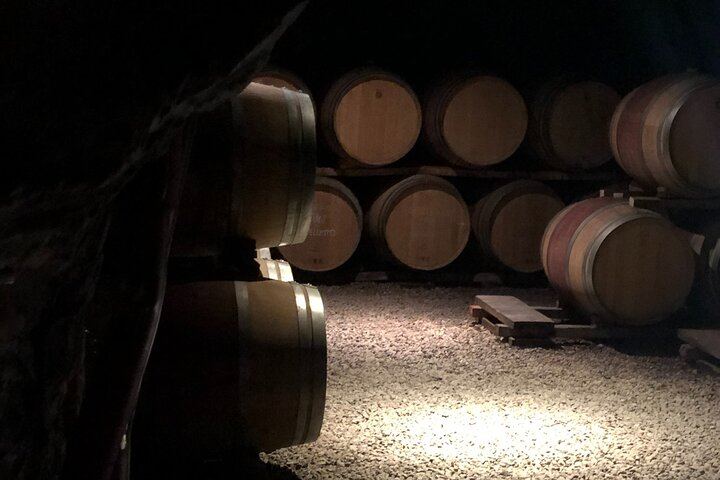 Langaround Tailor-Made Piedmont Wine Day: Barolo, Barbaresco, Barbera and Dolcetto (11/12)
