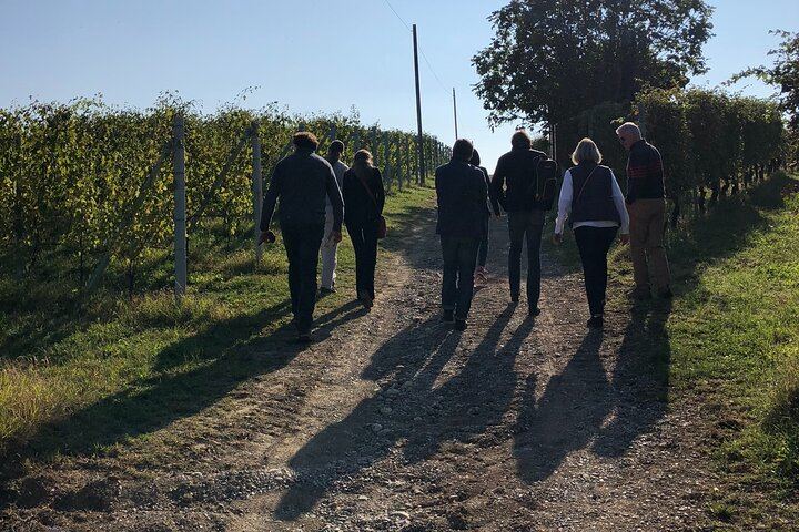 Langaround Tailor-Made Piedmont Wine Day: Barolo, Barbaresco, Barbera and Dolcetto (8/12)