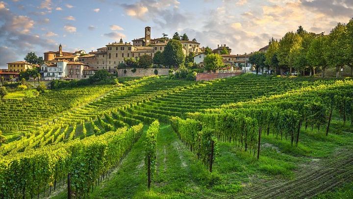 Private Barolo Wine Day Trip from Milan with Door-to-Door Pickup and Boutique Winery (3/11)