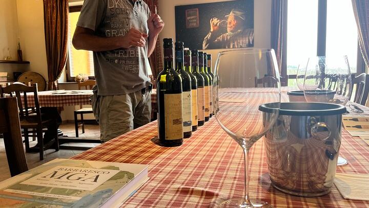 Private Barolo Terroir Day with a Winemaker: Vineyard Walk, Three Tastings, Hotel Pickup (3/7)