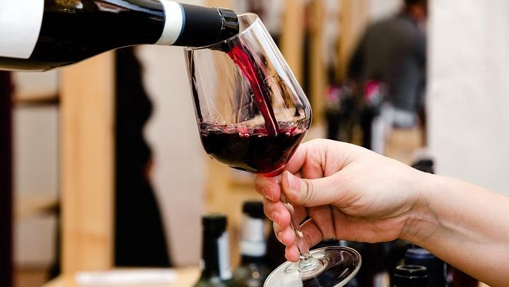 Private Barolo Wine Day Trip from Milan with Door-to-Door Pickup and Boutique Winery (1/11)