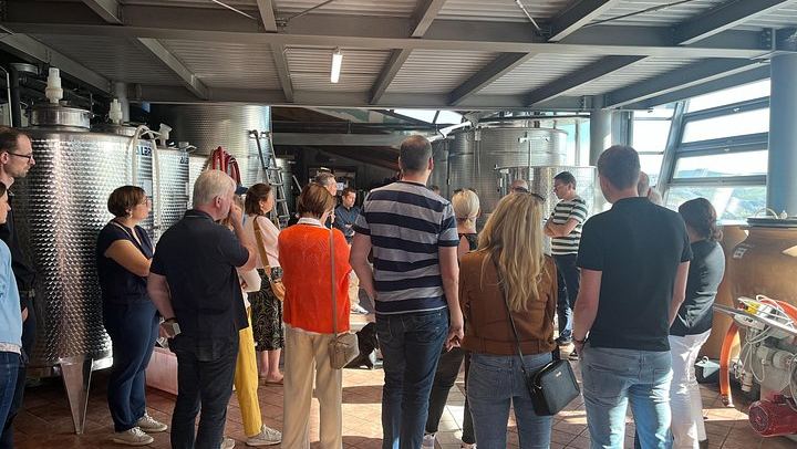 Private Barolo Terroir Day with a Winemaker: Vineyard Walk, Three Tastings, Hotel Pickup (1/7)