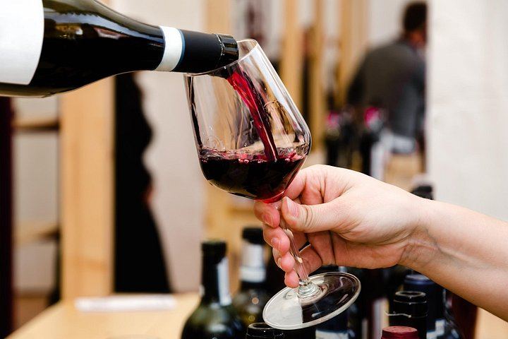 Private Barolo Wine Day Trip from Milan with Door-to-Door Pickup and Boutique Winery (1/11)