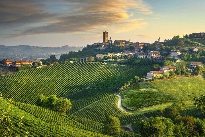 Private Barolo Wine Day Trip from Milan with Door-to-Door Pickup and Boutique Winery (9/11)