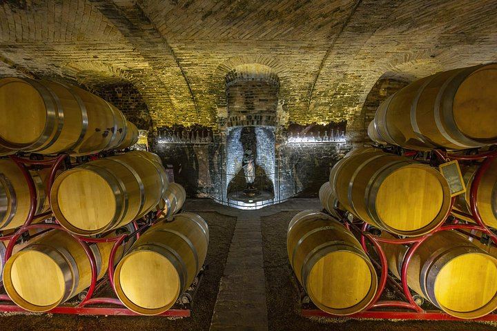 Private Barolo Wine Day Trip from Milan with Door-to-Door Pickup and Boutique Winery (7/11)