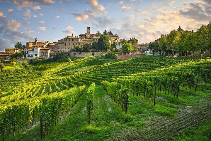 Private Barolo Wine Day Trip from Milan with Door-to-Door Pickup and Boutique Winery (3/11)