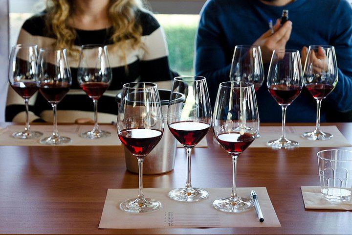 Private Barolo Wine Day Trip from Milan with Door-to-Door Pickup and Boutique Winery (11/11)