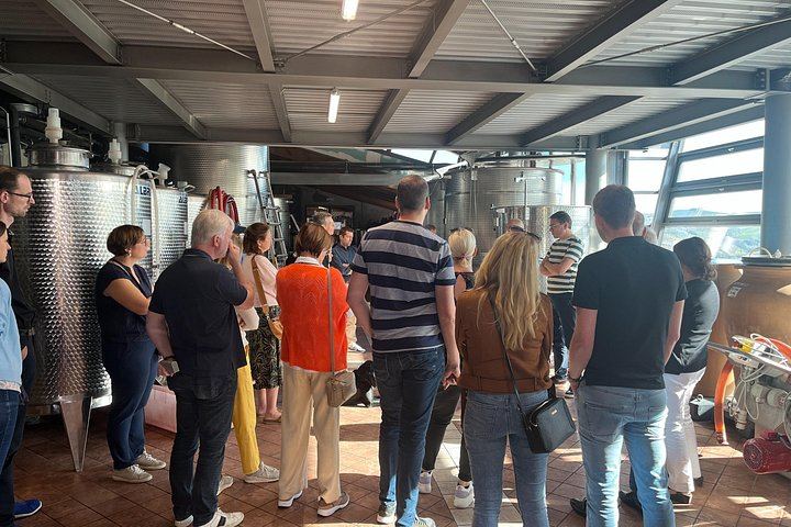 Private Barolo Terroir Day with a Winemaker: Vineyard Walk, Three Tastings, Hotel Pickup (1/7)