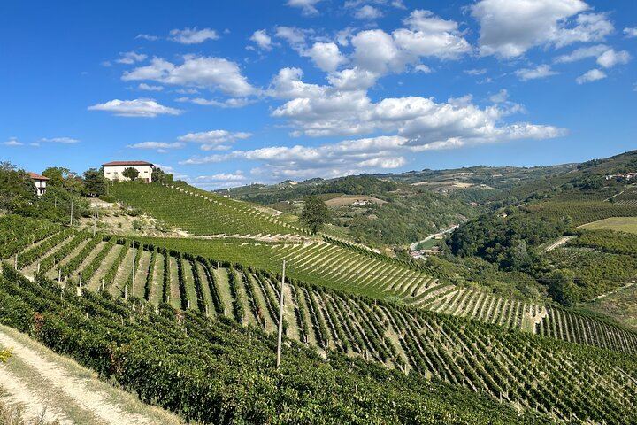 Private Barolo Terroir Day with a Winemaker: Vineyard Walk, Three Tastings, Hotel Pickup (2/7)