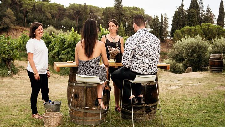 Private Breakfast in the Alella Vineyards with Winery Visit and Barcelona Skyline Views (1/8)
