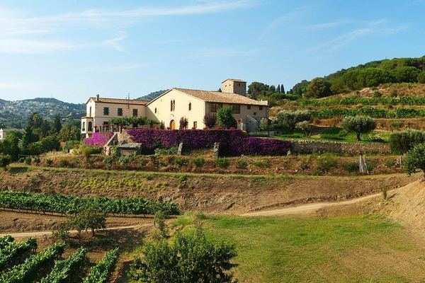 Private Breakfast in the Alella Vineyards with Winery Visit and Barcelona Skyline Views