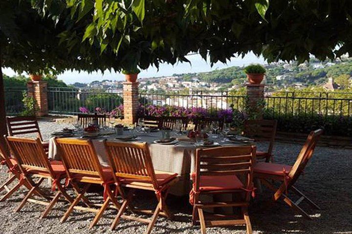 Private Breakfast in the Alella Vineyards with Winery Visit and Barcelona Skyline Views (4/8)