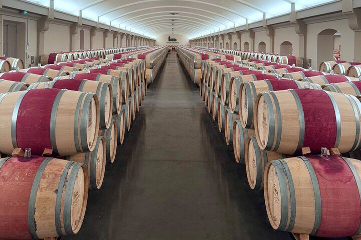 Private Customizable Médoc Wine Tour with Lunch Stop: Saint-Julien, Pauillac and Margaux (1/9)