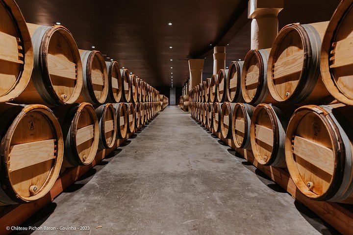 Private Médoc and Saint-Émilion Day: 1855 Château and Grand Cru Classé (3/6)