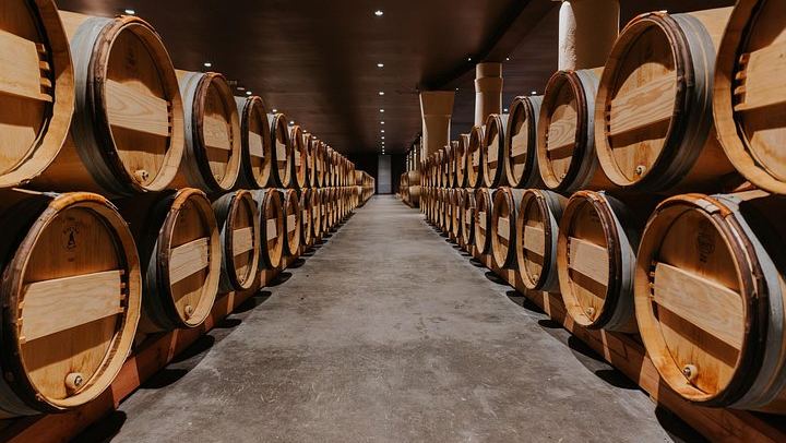 Private Médoc and Saint-Émilion Day: 1855 Château and Grand Cru Classé (3/6)