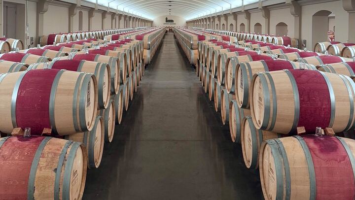 Private Customizable Médoc Wine Tour with Lunch Stop: Saint-Julien, Pauillac and Margaux (1/9)