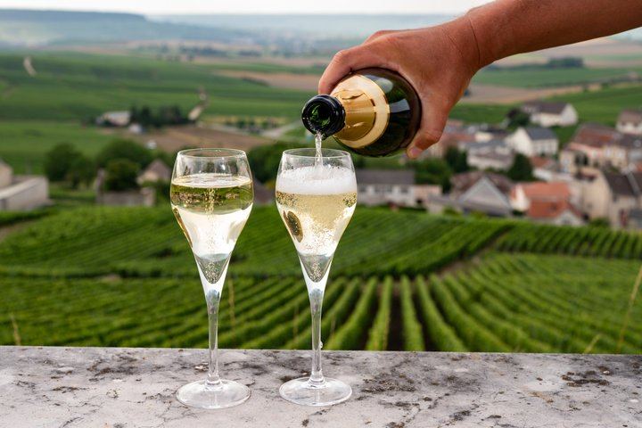Private Champagne Day Trip from Paris: Reims Cathedral, Taittinger or Two Houses, Lunch (2/12)