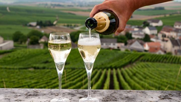 Private Champagne Day Trip from Paris: Reims Cathedral, Taittinger or Two Houses, Lunch (2/12)