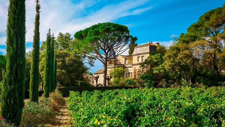 Private Full-Day Châteauneuf-du-Pape Tour: Fortia, La Nerthe, La Gardine, Lunch Stop (1/12)