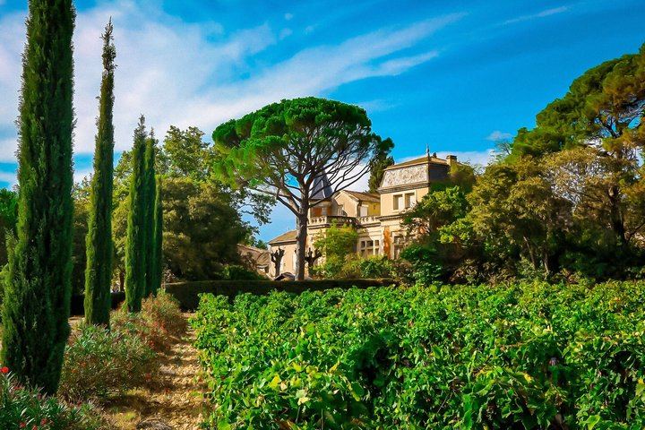 Private Full-Day Châteauneuf-du-Pape Tour: Fortia, La Nerthe, La Gardine, Lunch Stop (1/12)