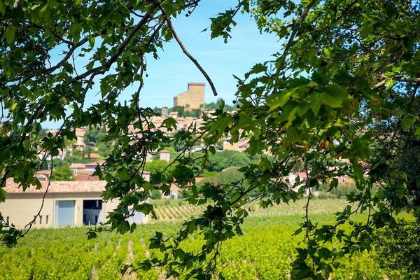 Private Full-Day Châteauneuf-du-Pape Tour: Fortia, La Nerthe, La Gardine, Lunch Stop