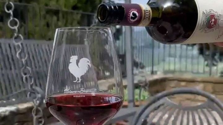 Quiet Private Chianti Classico Tasting at Two Family Wineries with a Local-Born Guide (2/12)