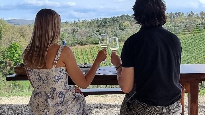 Quiet Private Chianti Classico Tasting at Two Family Wineries with a Local-Born Guide (3/12)