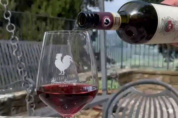 Quiet Private Chianti Classico Tasting at Two Family Wineries with a Local-Born Guide (2/12)
