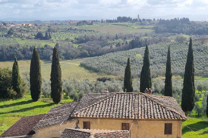Quiet Private Chianti Classico Tasting at Two Family Wineries with a Local-Born Guide (10/12)