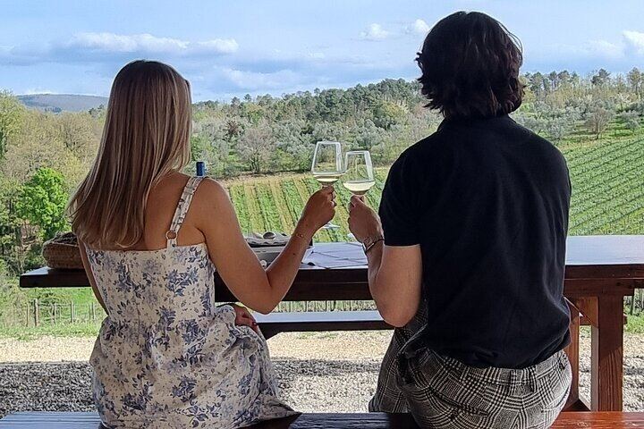 Quiet Private Chianti Classico Tasting at Two Family Wineries with a Local-Born Guide (3/12)