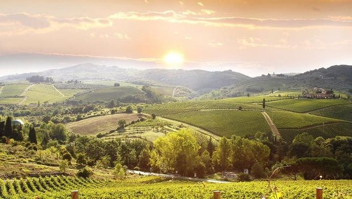Private Chianti Wine Tour from Florence Through Rolling Hills and Small Towns (1/5)
