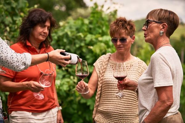 Private Chianti Tour: Two Boutique Wineries, Three-Course Lunch and Greve, 5 Hours