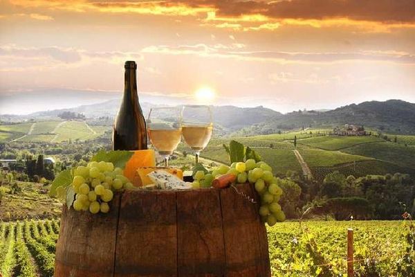 Private Chianti Wine Tour from Florence Through Rolling Hills and Small Towns