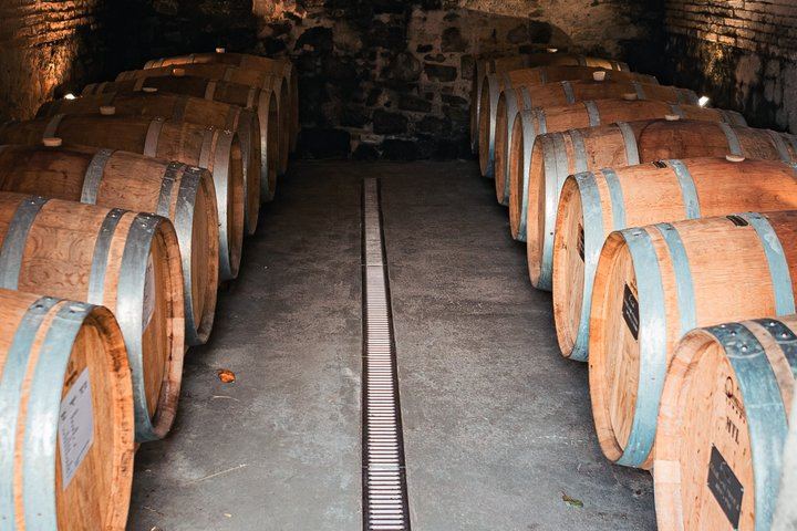 Private Chianti Tour: Two Boutique Wineries, Three-Course Lunch and Greve, 5 Hours (1/12)